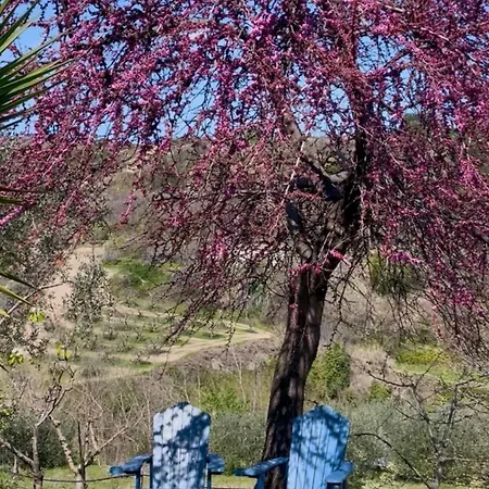 Microfattoria Lenta Nyaraló Massignano