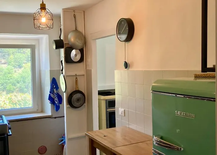 Microfattoria Lenta Massignano