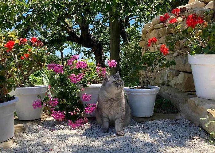 Microfattoria Lenta * Massignano