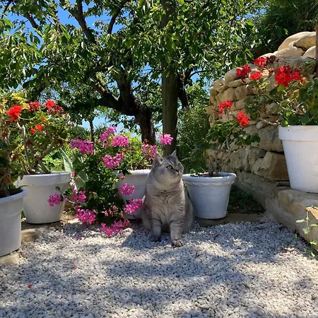 Microfattoria Lenta * Massignano