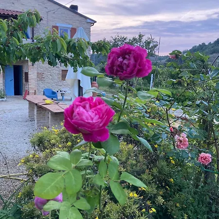 Holiday home Microfattoria Lenta Massignano