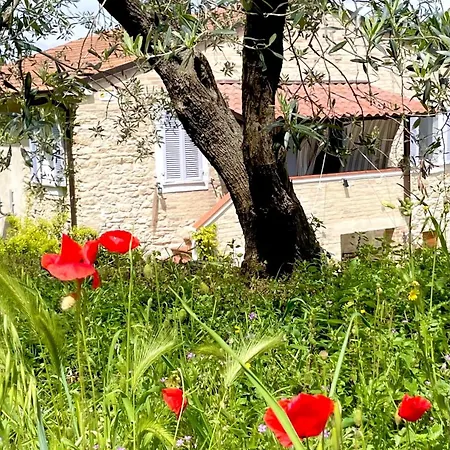 Microfattoria Lenta